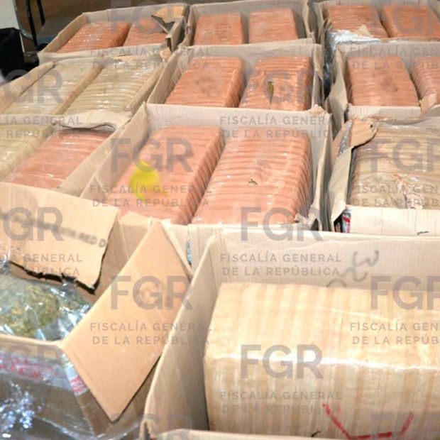 Vinculan a Hombre Detenido con 440 Kilos de Cannabis en Carretera Torreón-Saltillo